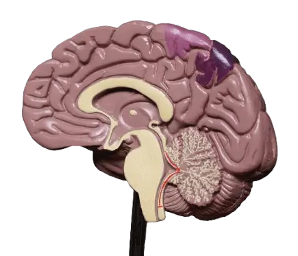 Brainmoto Background